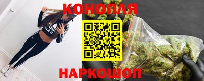 дживик Кингисепп
