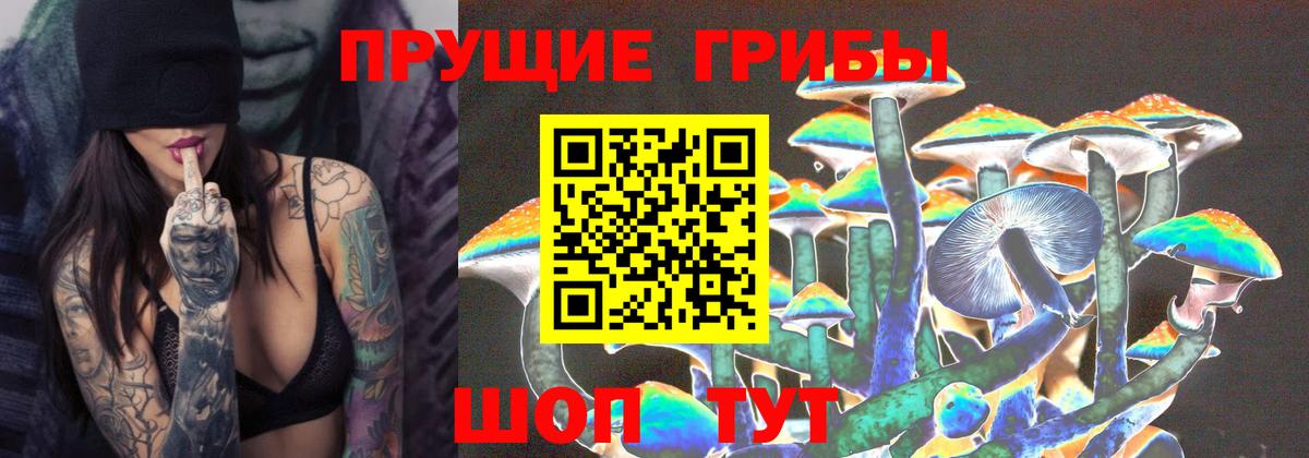 Галлюциногенные грибы GOLDEN TEACHER Бирск